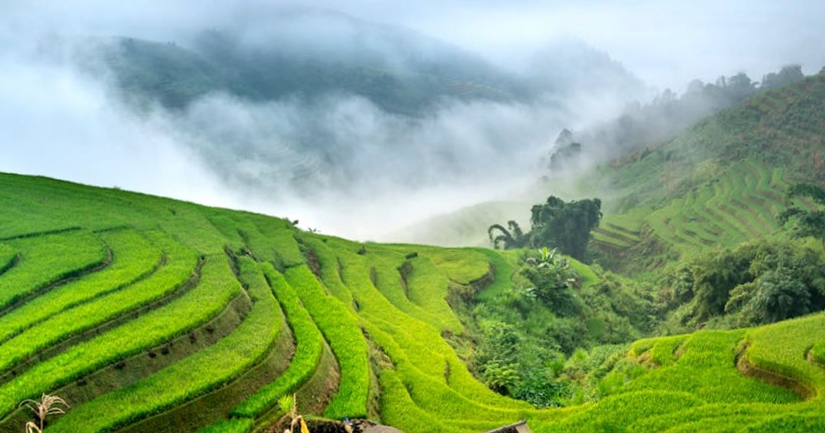 Asia a giugno senza monsone (quasi): 10 mete con meteo furbo e prezzi ancora umani