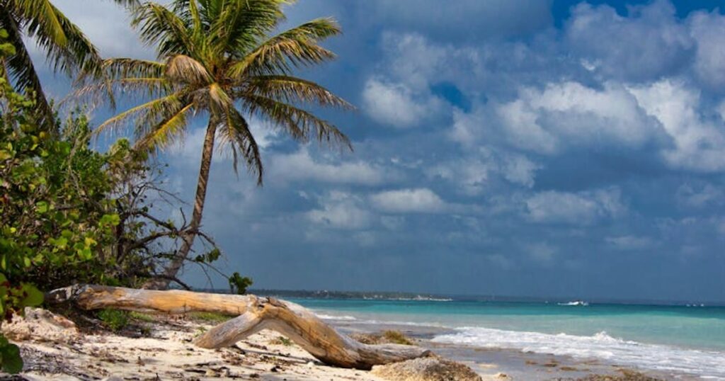 Cuba sostenibile davvero? Spiagge da sogno, sargasso sotto controllo e conto un po’ più salato