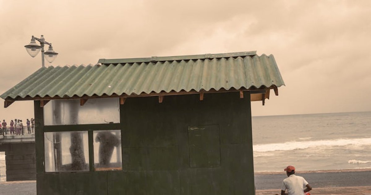 Safari in Sri Lanka: Yala, Udawalawe o Minneriya/Kaudulla? La guida onesta che avrei voluto leggere prima di prenotare